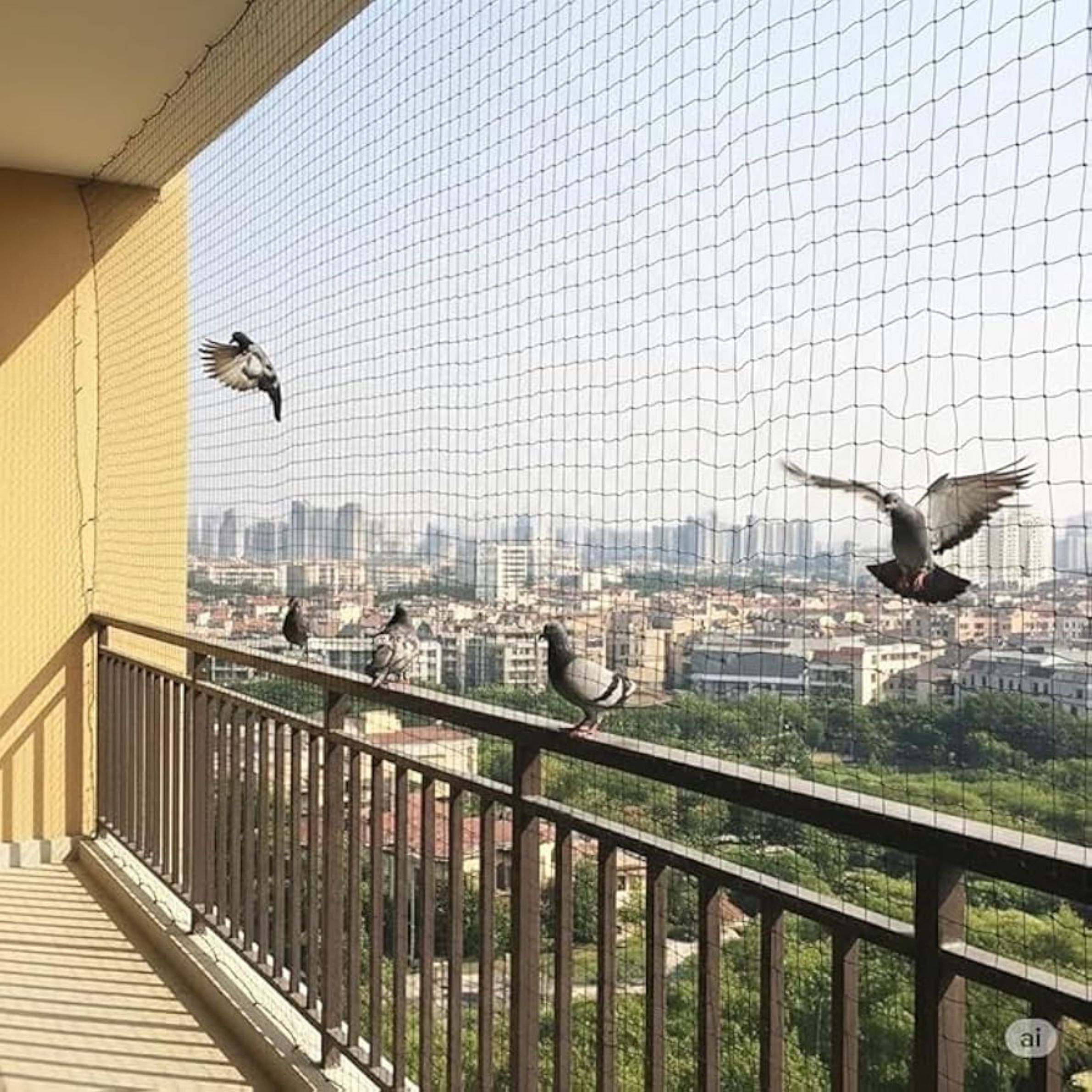Anti bird net